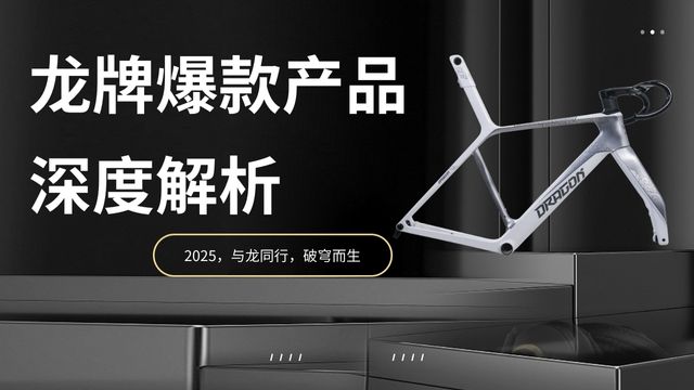 龙牌上海展爆款产品深度解析