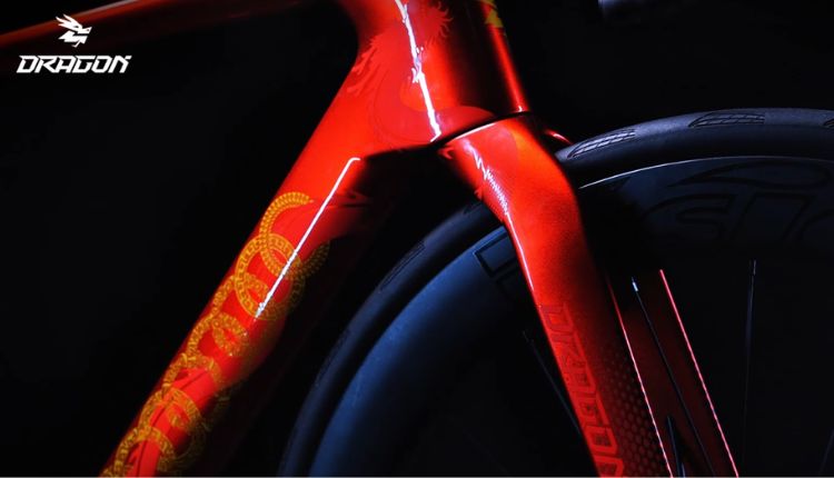 龙牌这一年，藏了多少硬核惊喜