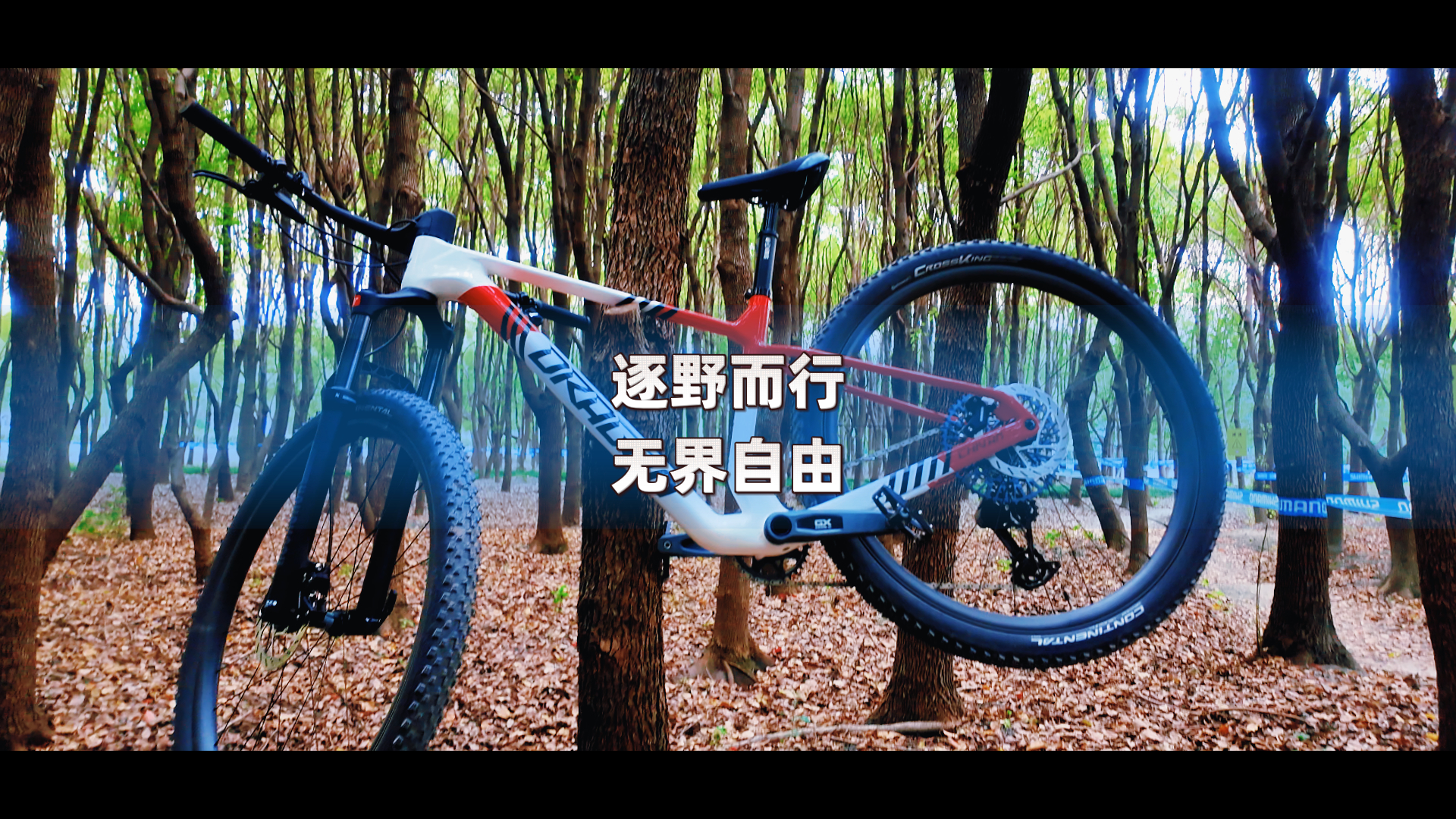 逐野而行，无界自由